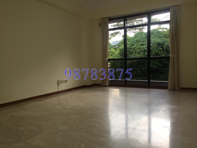 Harbourlights (D4), Apartment #167952312